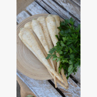 Petrezselyem