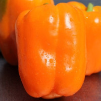 Étkezési paprika