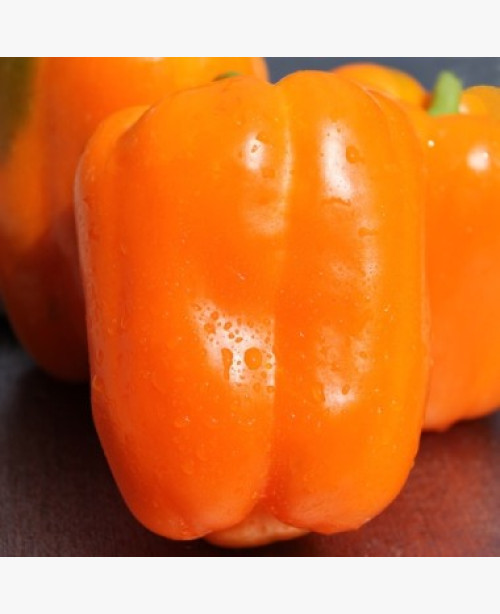 Étkezési paprika