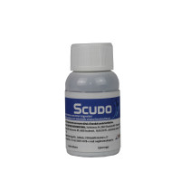 Scudo