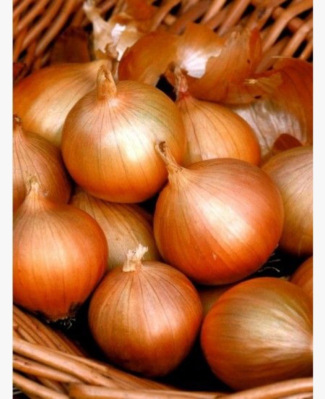 Dughagyma Dughagyma