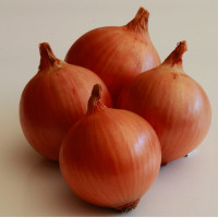 Vöröshagyma