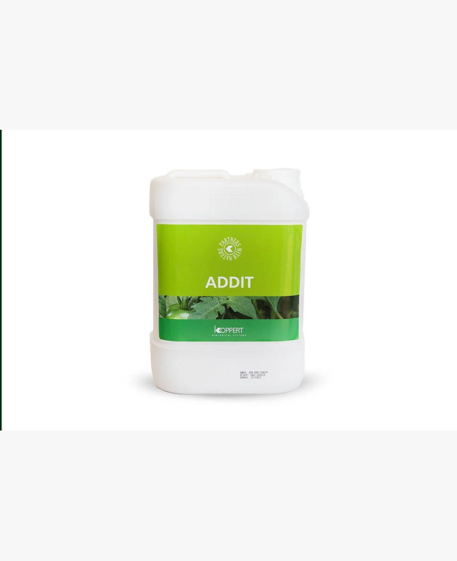 ADDIT repceolaj