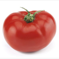 Paradicsom