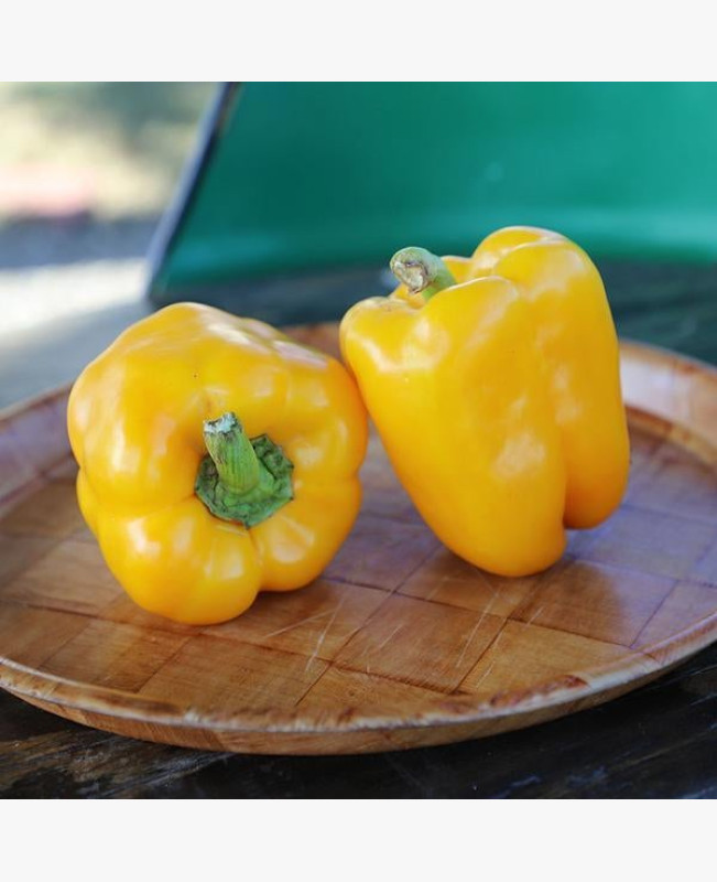Étkezési paprika