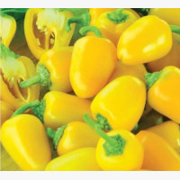 Étkezési paprika