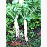 Tillage retek