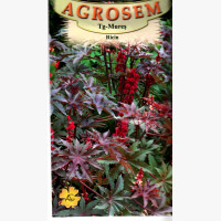 Ricinus 