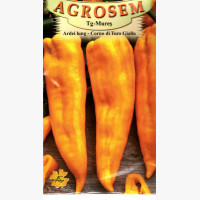 Étkezési paprika