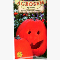 Halloween tök