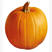 Halloween tök
