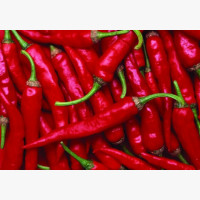 Fűszerpaprika