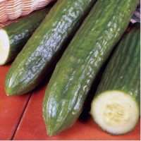 Kígyóuborka
