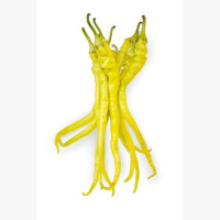 Étkezési paprika