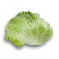 Jégsaláta