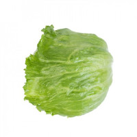 Jégsaláta