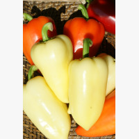 Étkezési paprika