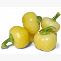 Étkezési paprika