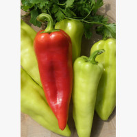 Étkezési paprika