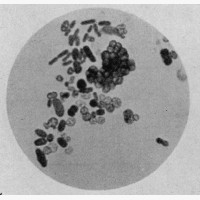 GeoAgit-CNPK-1