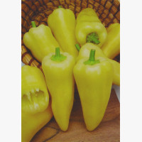 Étkezési paprika