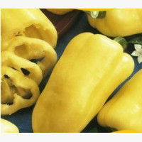 Étkezési paprika
