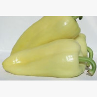 Étkezési paprika