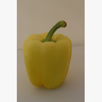 Étkezési paprika