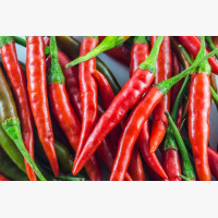 Étkezési paprika