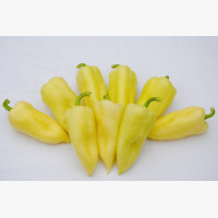 Étkezési paprika