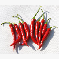 Étkezési paprika