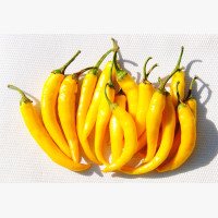 Étkezési paprika