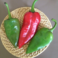 Étkezési paprika
