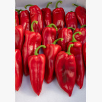 Étkezési paprika