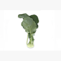 Karalábé
