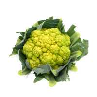 Karfiol