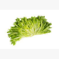 Frizé