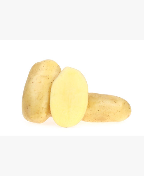 Burgonya
