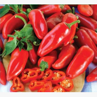 Étkezési paprika