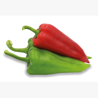 Étkezési paprika